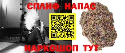 ГАЛЛЮЦИНОГЕННЫЕ ГРИБЫ Нальчик