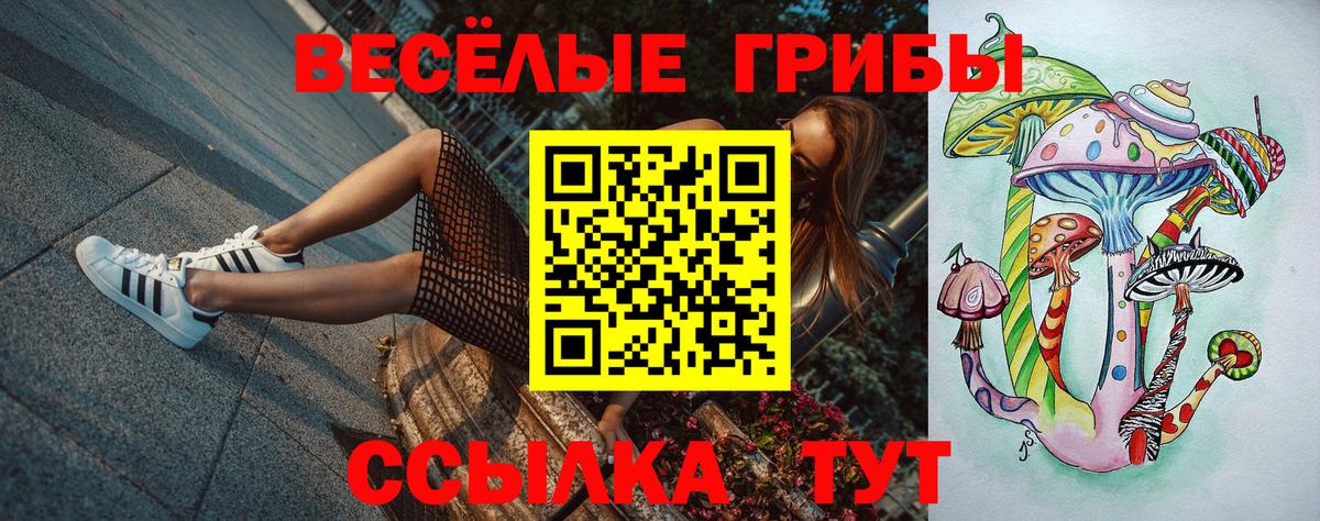 Тимашёвск  Галлюциногенные грибы Psilocybe  Вход с VPN  Псилоцибиновые грибы мухоморы 