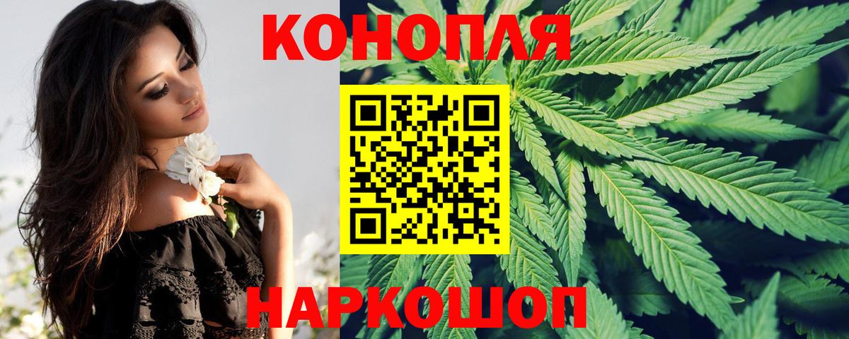 Бошки марихуана семена  Шишки марихуана Bruce Banner  Вход с VPN  Канабис Ganja  Тимашёвск 
